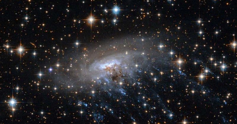 NASA's James Webb Space Telescope captures a rare jellyfish galaxy from 8.5 billion years ago