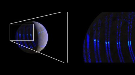 Auroras on Jupiter's moon Ganymede are not too different from those on Earth