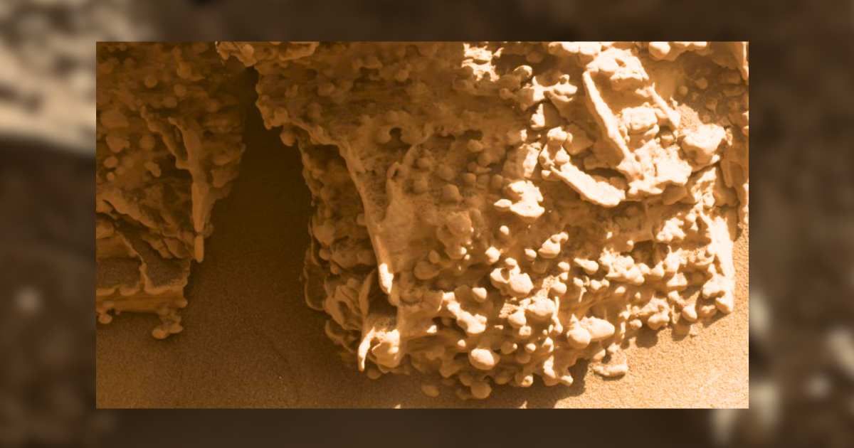 Bumpy mineral nodules on the Martian surface, pictured by NASA’s Curiosity rover. (Cover Image Source: NASA/JPL-Caltech/MSSS)