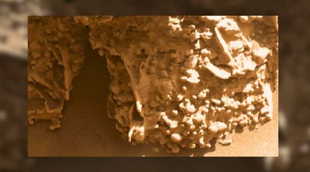 NASA’s Curiosity rover pictures Martian 'giant spiderwebs' that hint at ancient groundwater activity