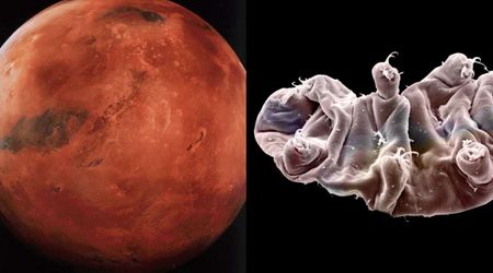 Tiny 'water bears' are offering insights into how Mars might support plant growth