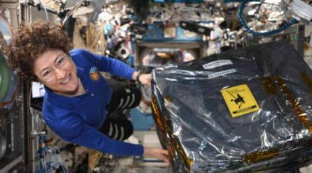 Female astronauts at risk of developing stronger blood clots, finds new study