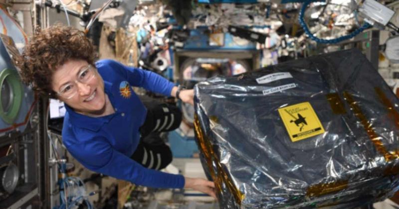 Female astronauts at risk of developing stronger blood clots, finds new study