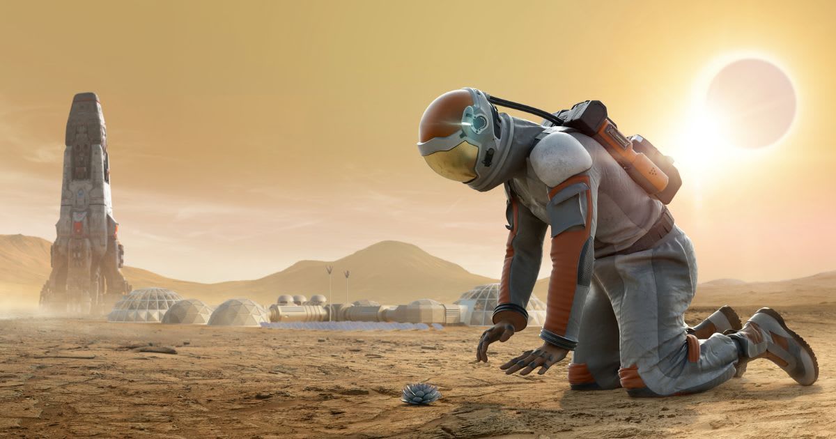 Astronaut on Mars kneeling and staring down at a plant growing in rocky dusty ground with spaceship and base camp in background (Representative Cover Image Source: Getty | peepo)