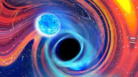 First-ever oval orbit detected in neutron star–black hole merger