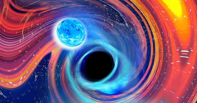 First-ever oval orbit detected in neutron star–black hole merger