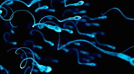 Getting pregnant in space may be tricky, as human sperm may lose its way without gravity