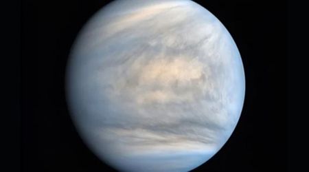 Did life come to Venus from Earth or Mars? New study offers clues