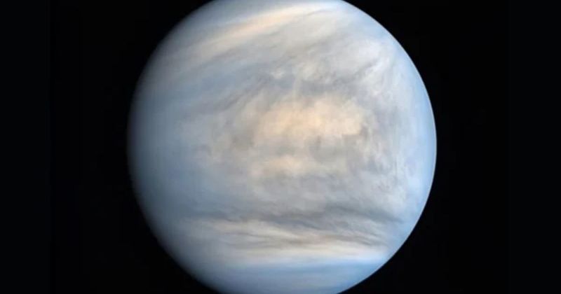 Did life come to Venus from Earth or Mars? New study offers clues