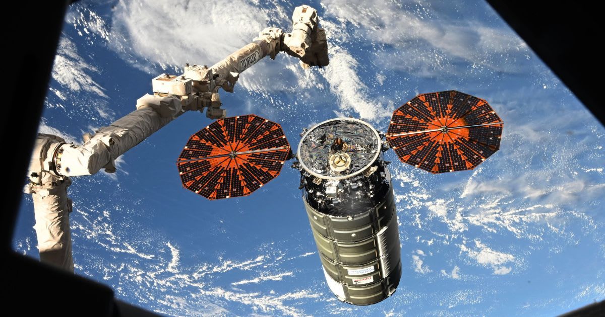 A view of the Cygnus XL cargo spacecraft seen from inside the International Space Station, captured using the Canadarm2 robotic arm. (Cover Image Source: Jessica Meir / X / ISS)