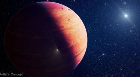 Is it a star or a planet? What NASA's James Webb Space Telescope found as it looked into 29 Cygni b