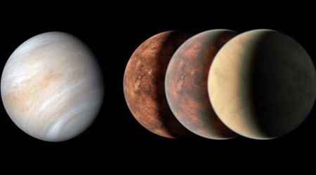 How much water does an Earth-like planet need to harbor life? A new study has the answer