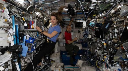 ISS Expedition 74 advances stem cell research and DNA nanotherapy to boost health and the space economy