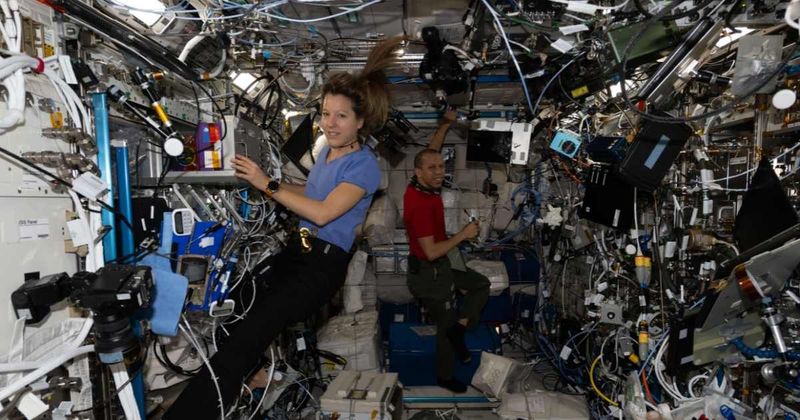 ISS Expedition 74 advances stem cell research and DNA nanotherapy to boost health and the space economy