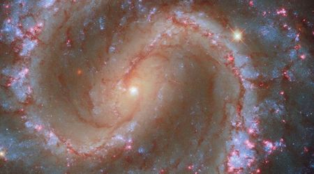 Astronomers identify 20 stars as remnants of Loki, a dwarf galaxy consumed by the Milky Way