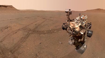 Scientists have designed a reptile-inspired Mars rover that can 'swim' through sand