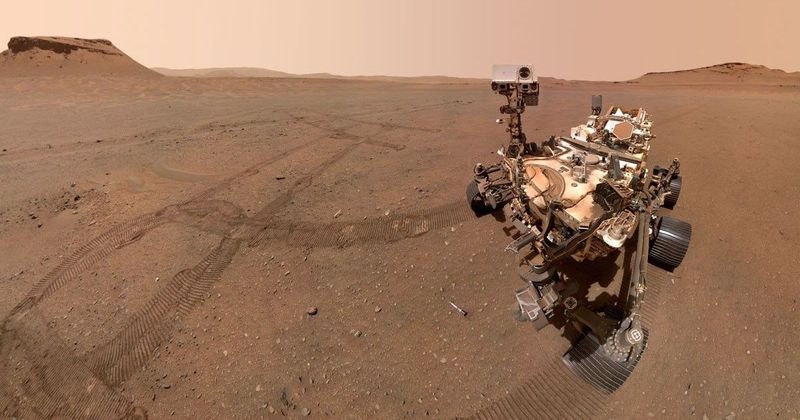 Scientists have designed a reptile-inspired Mars rover that can 'swim' through sand