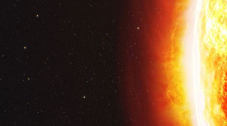 How scientists traced an 800-year-old solar event using ancient trees and historical records
