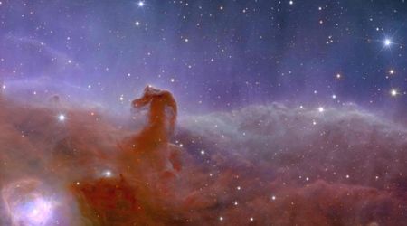Astrophotographer captures stunning image of Horsehead Nebula after over 115 hours of observation