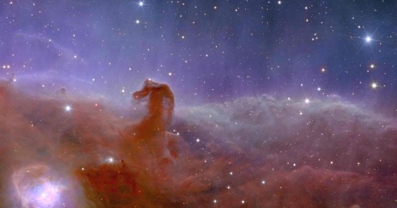 Astrophotographer captures stunning image of Horsehead Nebula after over 115 hours of observation