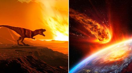 Asteroid that killed the dinosaurs helped microbial life flourish for millions of years