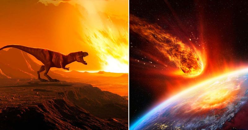 Asteroid that killed the dinosaurs helped microbial life flourish for millions of years