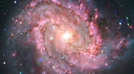 Scientists stunned by fireworks in nearby galaxy: 'Something unusual is going on in these objects'