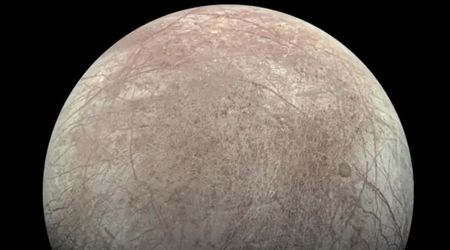 Earth may have been sending life to Jupiter's moon Europa all this time