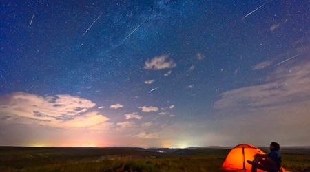 June Bootids 2026: All about one of the most unpredictable meteor showers—when and how to watch