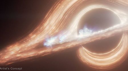 One of the mysterious 'little red dots' has been identified as a 'black hole star'