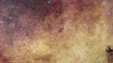 ESA's Euclid took the most detailed photo ever of the Milky Way's core—and made a surprising discovery