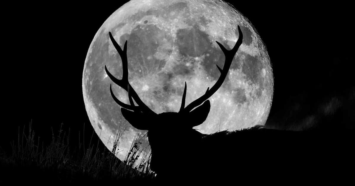 A Full Supermoon with the silhouette of a wild stag on a hill at night. (Representative Image Source: Getty Images/john finney photography)