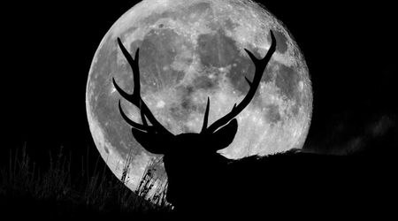 Buck Moon myths and facts: What actually happens during July's Full Moon