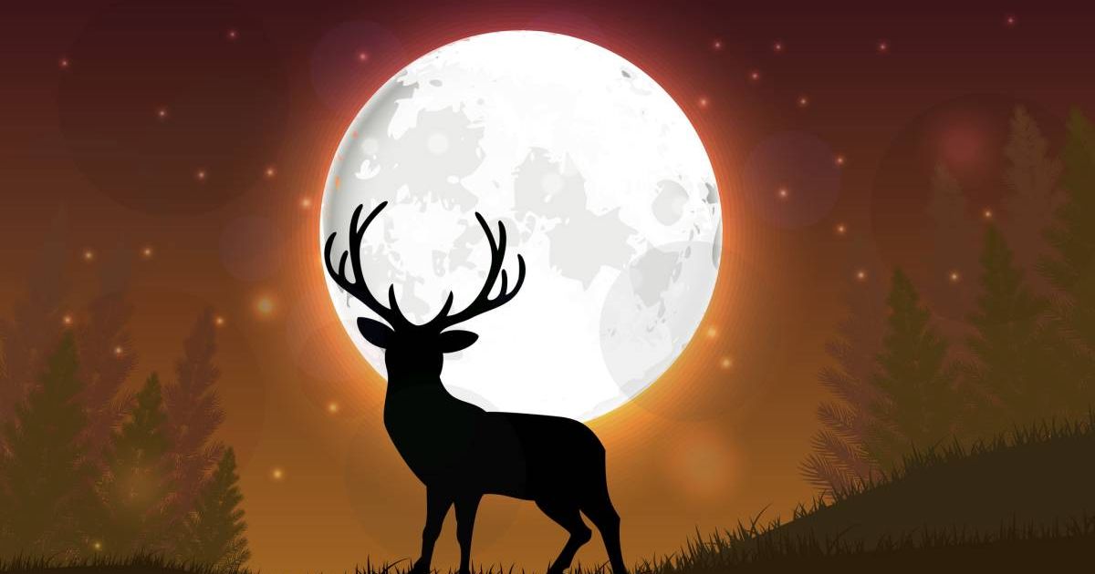 Illustration of the silhouette of a deer standing on a hill at night with the full Moon behind it. (Cover Image Source: Getty Images/novielysa)
