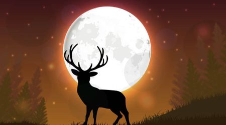 Buck Moon 2026: Five little-known facts about July's Full Moon