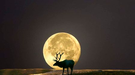 When to see the Buck Moon 2026? Check peak time, moonrise and best viewing times by city