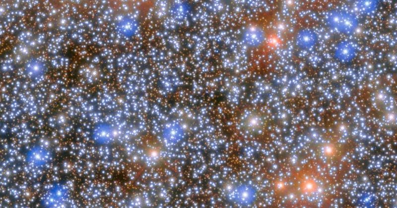 NASA's Hubble and Webb spot the first of a star cluster's 10,000 missing black holes