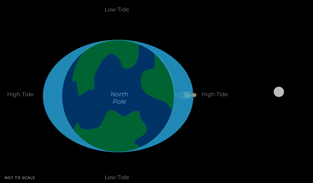 A graphic showing the Moon's role in the creation of tides.