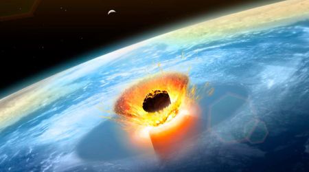 Identity of the space rock that wiped out the dinosaurs has been uncovered