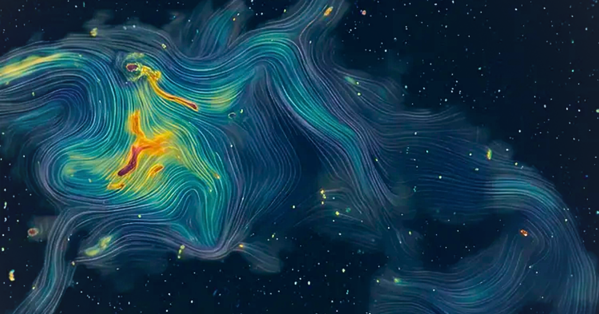 The invisible texture of the magnetic field in the central region of the galaxy cluster Abell 2255. (Cover Image Source: A. Botteon et al. (INAF), A&A 2026; edited via Canva)
