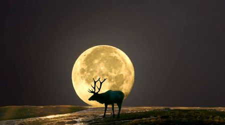 Photographing the Buck Moon on July 29: Camera settings and tips