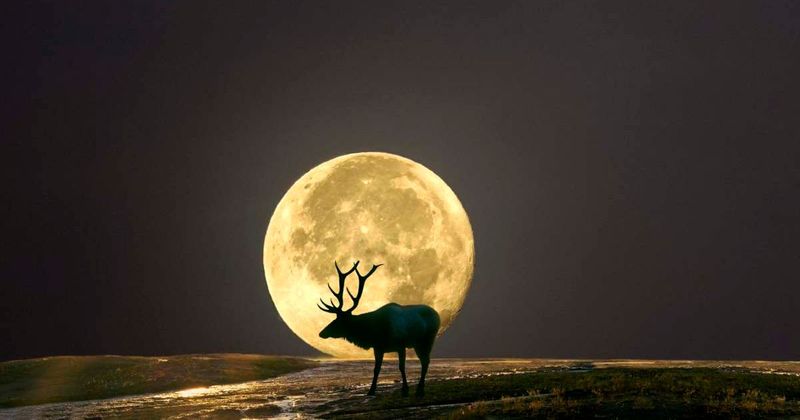 Photographing the Buck Moon on July 29: Camera settings and tips