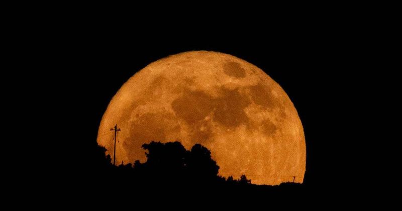 Buck Moon 2026: 5 U.S. states most likely to offer clear views of July's Full Moon