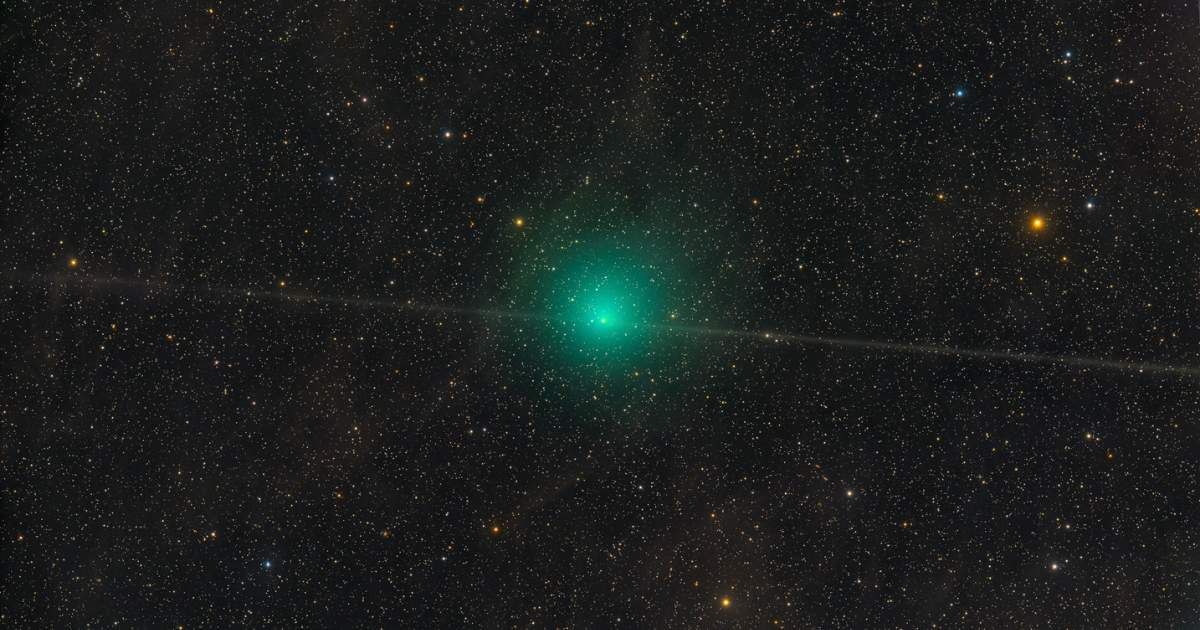 Telescopic image of comet 10P/Tempel 2 from July 11, 2026 sporting a bright nuclear region and pretty greenish coma. (Cover Image Source: Dan Bartlett)