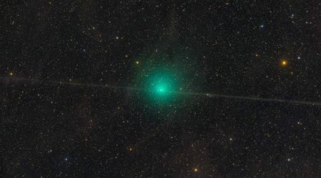 Comet Tempel 2 to make its closest approach to Earth on August 3—viewing tips and its likely coordinates