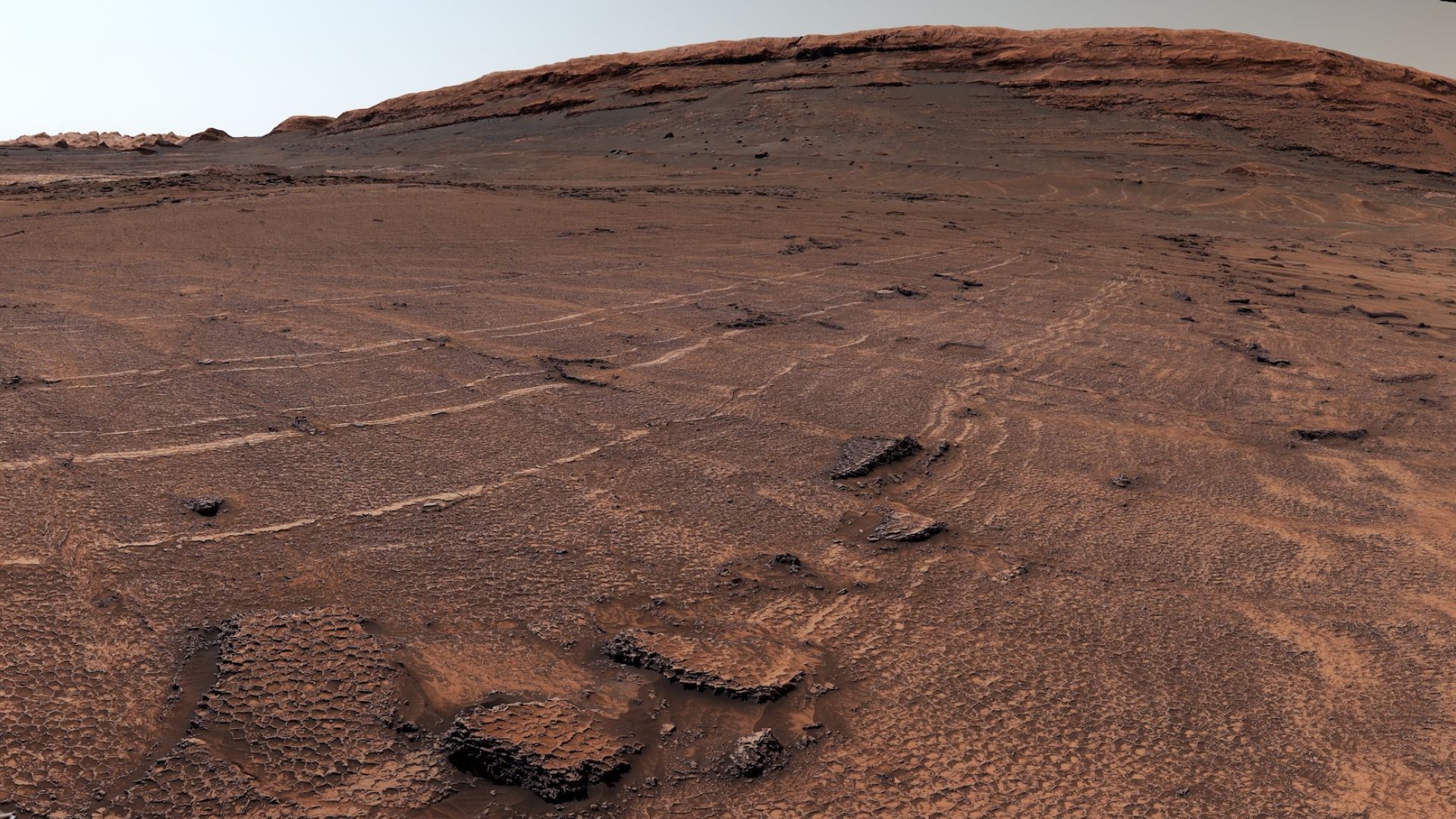 The vast field of polygonal fractures captured in this panorama by NASA's Curiosity rover in Valle Grande.