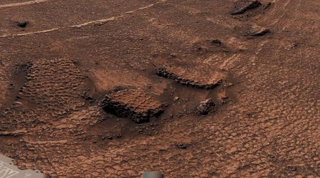 ‘Took our breath away’: Scientists amazed as NASA's Curiosity images honeycomb-like features on Mars