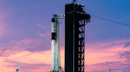 SpaceX investors ask if the company can paint its rockets pink—can it actually be done?