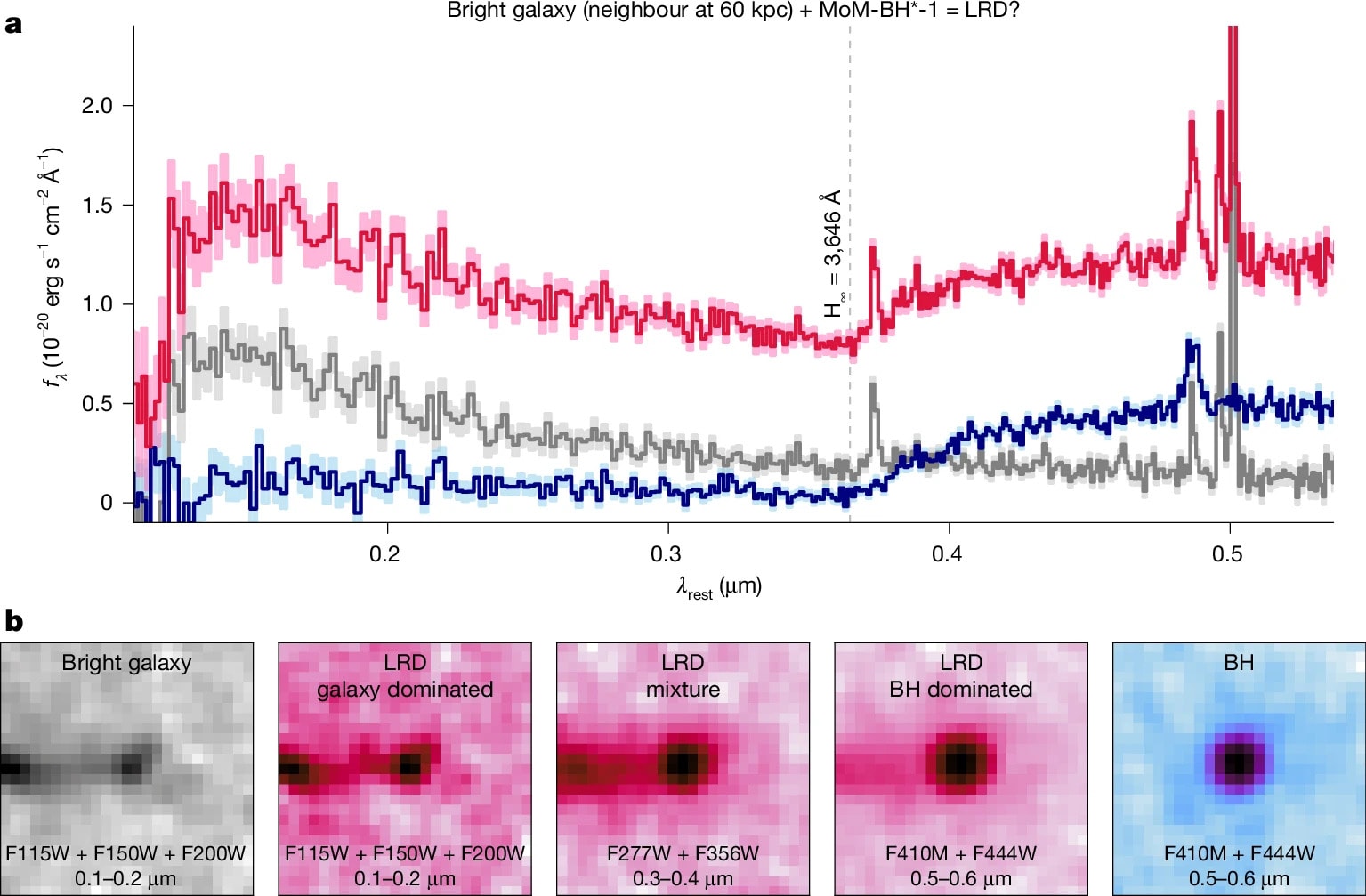 Explanation of LRDs as gas-enshrouded black holes embedded in comparably bright host galaxies.