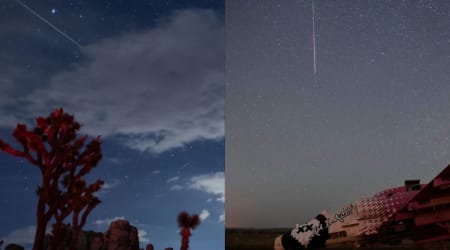 Perseid meteor shower peak 2026: Best images of the celestial fireworks from August 12-13